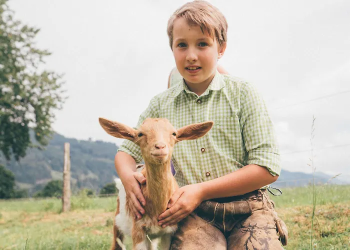 Schloss Saalhof 2* Maishofen